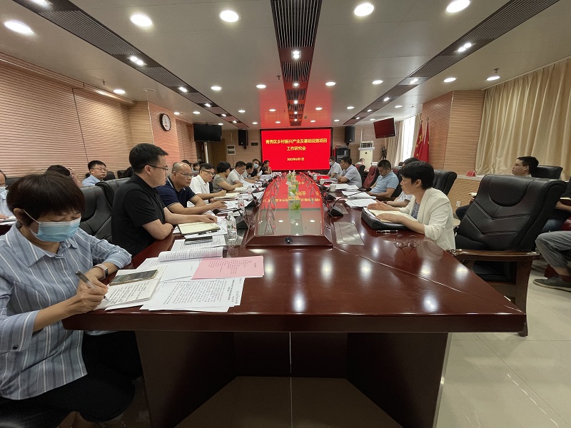 廣西工程咨詢集團在青秀區(qū)鄉(xiāng)村振興產業(yè)及基礎設施項目